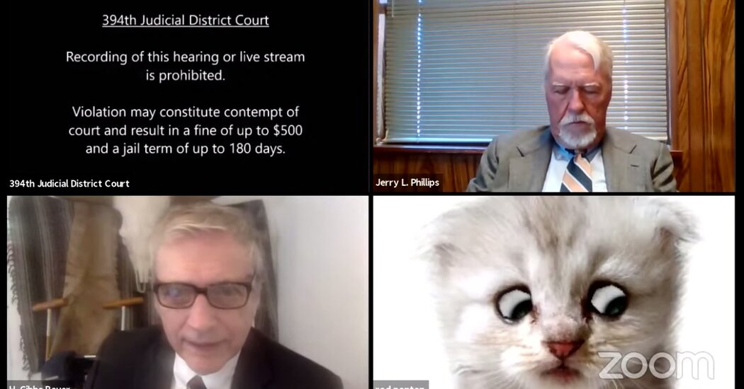 ‘I’m Not a Cat,’ Says Lawyer Having Zoom Difficulties
