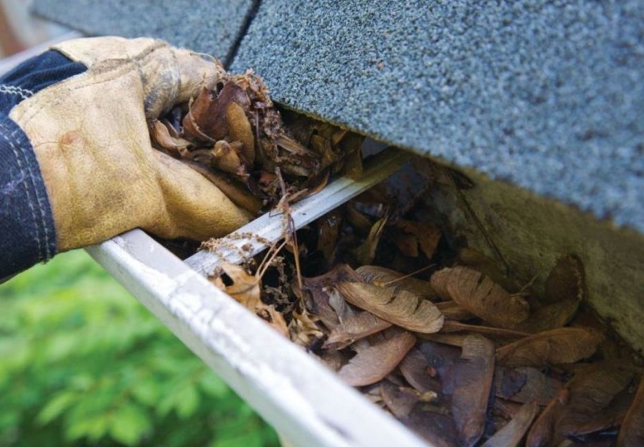 When do I Need to Clean my Gutters?